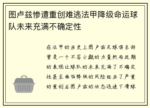 图卢兹惨遭重创难逃法甲降级命运球队未来充满不确定性