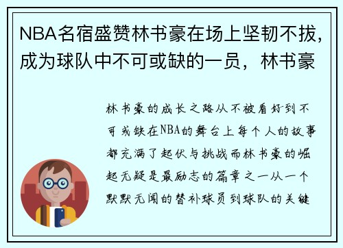 NBA名宿盛赞林书豪在场上坚韧不拔，成为球队中不可或缺的一员，林书豪nba成名比赛视频
