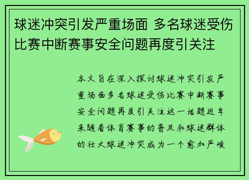 球迷冲突引发严重场面 多名球迷受伤比赛中断赛事安全问题再度引关注
